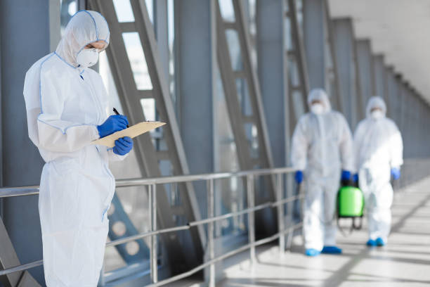Best Basement Mold Removal  in Poynette, WI