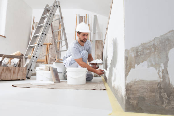Best Post-Construction Mold Inspection  in Poynette, WI