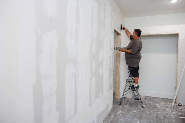 Best Comprehensive Air Testing for Mold Contaminants  in Poynette, WI