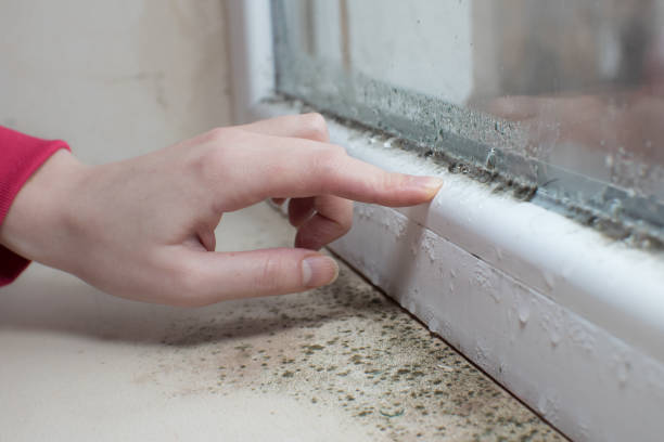 Best Industrial Mold Remediation  in Poynette, WI