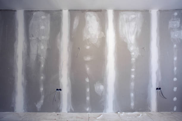Best Emergency Mold Remediation  in Poynette, WI