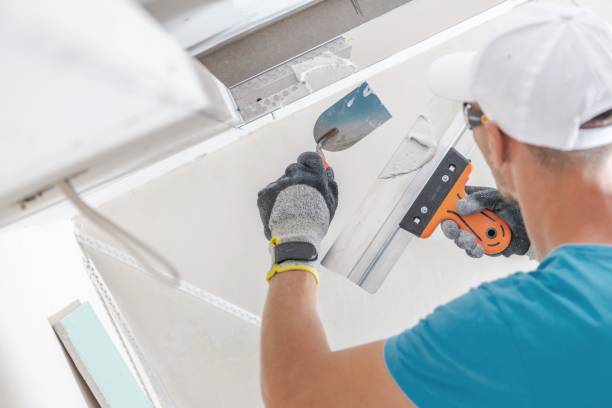 Best Mold Remediation for Healthcare Facilities  in Poynette, WI